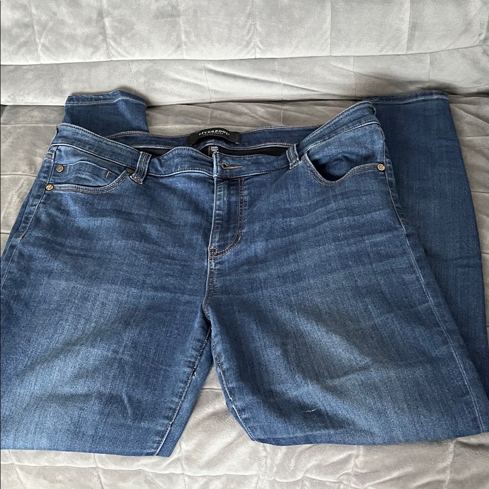 Liverpool Los Angeles Eco Logical Blue Skinny Leg Jeans